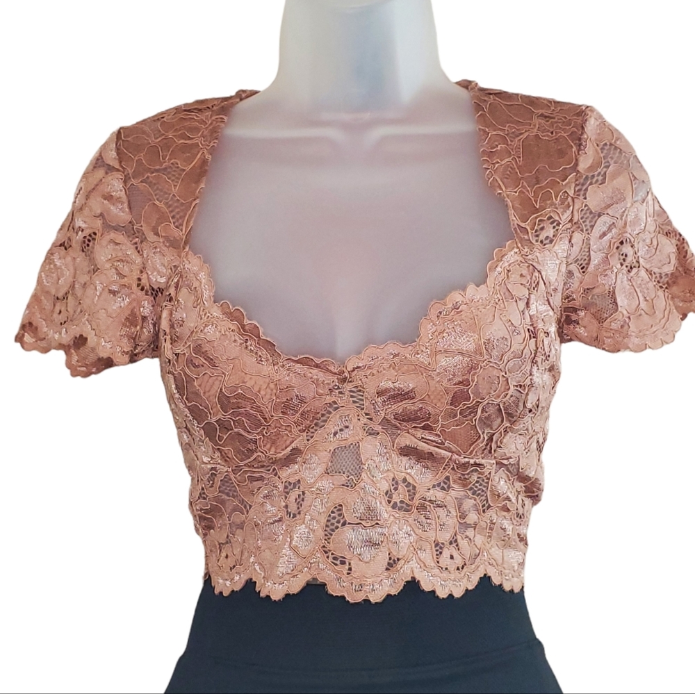 Zara Bronze Short Sleeve Lace Crop Top Small